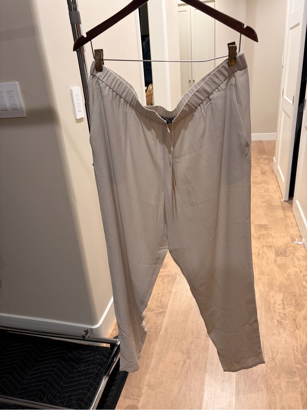 Eileen Fisher NWT Georgette Silk pants. Relaxed with pockets. Dressy or casual.